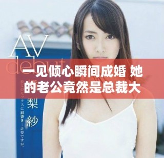 一见倾心瞬间成婚 她的老公竟然是总裁大人