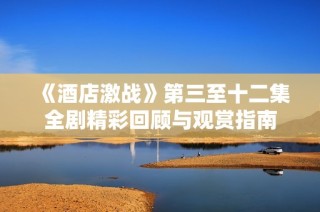 《酒店激战》第三至十二集全剧精彩回顾与观赏指南
