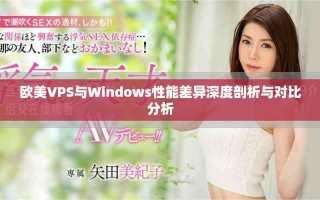 欧美VPS与Windows性能差异深度剖析与对比分析