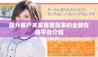 提升客户关系管理效率的全新在线平台介绍