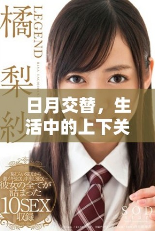日月交替，生活中的上下关系与和谐共生探讨