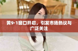 黄9·1窗口开启，引发市场热议与广泛关注