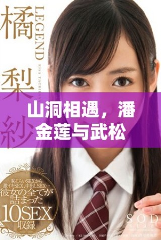 山洞相遇，潘金莲与武松的命运交织故事探秘