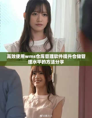高效使用wms仓库管理软件提升仓储管理水平的方法分享