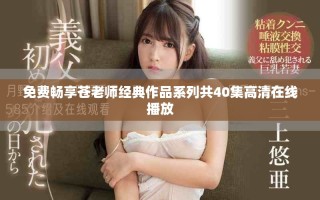 免费畅享苍老师经典作品系列共40集高清在线播放