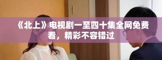 《北上》电视剧一至四十集全网免费看，精彩不容错过
