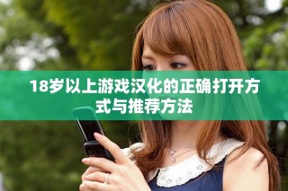 18岁以上游戏汉化的正确打开方式与推荐方法