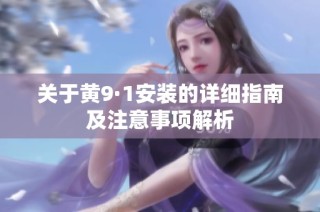关于黄9·1安装的详细指南及注意事项解析