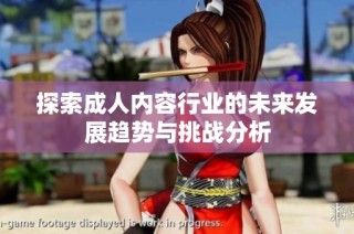 探索成人内容行业的未来发展趋势与挑战分析