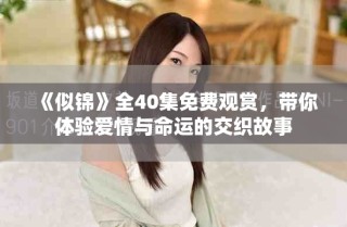 《似锦》全40集免费观赏，带你体验爱情与命运的交织故事