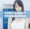 全面解析各类动画片的免费观看渠道与推荐指南