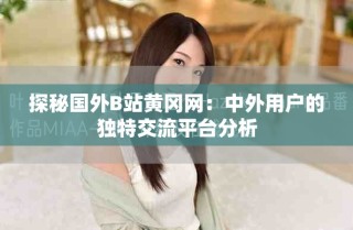 探秘国外B站黄冈网：中外用户的独特交流平台分析