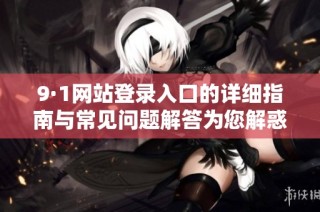 9·1网站登录入口的详细指南与常见问题解答为您解惑