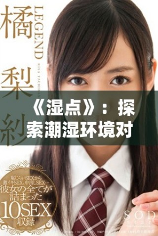 《湿点》：探索潮湿环境对人类生活与心理的影响与反思