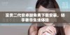 富贵二代安卓版免费下载安装，畅享奢华生活体验