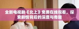 全新电视剧《北上》免费在线观看，探索剧情背后的深度与奇趣