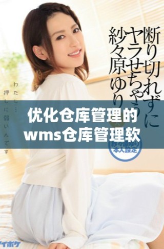 优化仓库管理的wms仓库管理软件应用解析与推荐