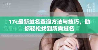 17c最新域名查询方法与技巧，助你轻松找到所需域名