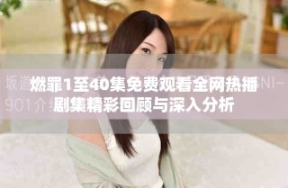 燃罪1至40集免费观看全网热播剧集精彩回顾与深入分析