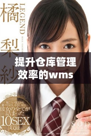 提升仓库管理效率的wms仓库管理软件全面解析与应用探讨