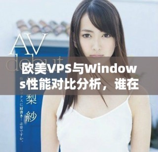 欧美VPS与Windows性能对比分析，谁在表现上更胜一筹