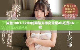 成色18k1.2209的网络支持究竟是4G还是5G呢