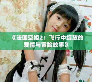《法国空姐2：飞行中绽放的爱情与冒险故事》