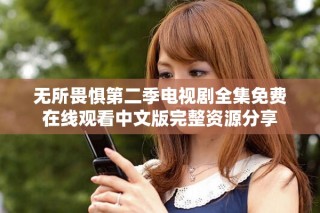 无所畏惧第二季电视剧全集免费在线观看中文版完整资源分享