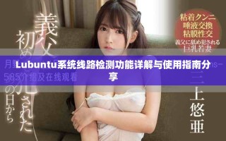 Lubuntu系统线路检测功能详解与使用指南分享