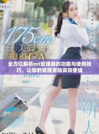 全方位解析mt管理器的功能与使用技巧，让你的管理更加高效便捷
