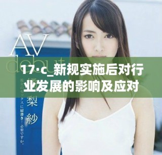 17·c_新规实施后对行业发展的影响及应对策略分析