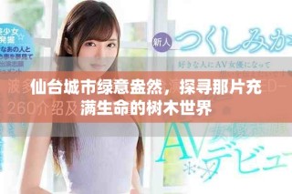 仙台城市绿意盎然，探寻那片充满生命的树木世界