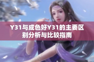 Y31与成色好Y31的主要区别分析与比较指南