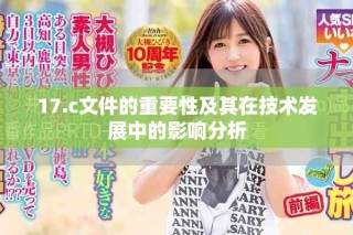 17.c文件的重要性及其在技术发展中的影响分析
