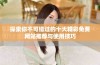 探索你不可错过的十大精彩免费网站推荐与使用技巧