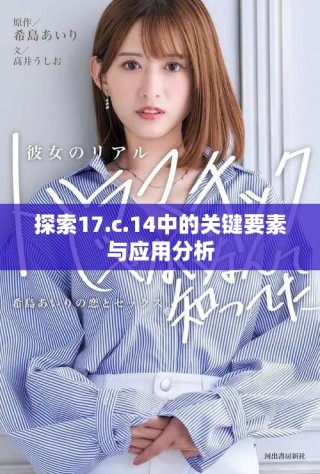 探索17.c.14中的关键要素与应用分析