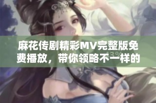 麻花传剧精彩MV完整版免费播放，带你领略不一样的视听盛宴