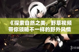 《探索自然之美，野草视频带你领略不一样的野外风情》