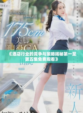 《酒店行业的竞争与策略揭秘第一至第五集免费观看》