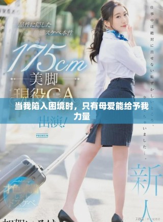 当我陷入困境时，只有母爱能给予我力量