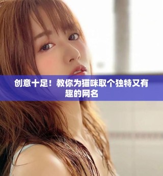 创意十足！教你为猫咪取个独特又有趣的网名