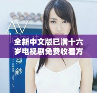 全新中文版已满十六岁电视剧免费收看方法分享