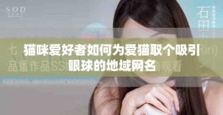猫咪爱好者如何为爱猫取个吸引眼球的地域网名