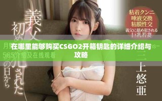 在哪里能够购买CSGO2开箱钥匙的详细介绍与攻略