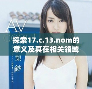 探索17.c.13.nom的意义及其在相关领域中的应用价值
