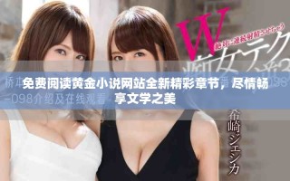 免费阅读黄金小说网站全新精彩章节，尽情畅享文学之美