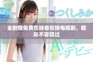 全剧情免费在线看似锦电视剧，精彩不容错过