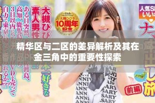 精华区与二区的差异解析及其在金三角中的重要性探索