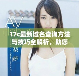 17c最新域名查询方法与技巧全解析，助您轻松获取信息