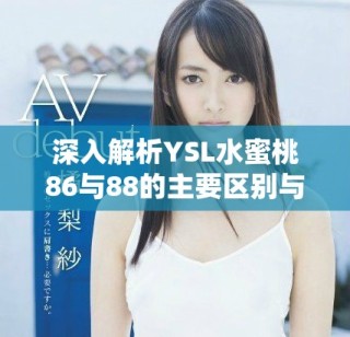 深入解析YSL水蜜桃86与88的主要区别与使用体验